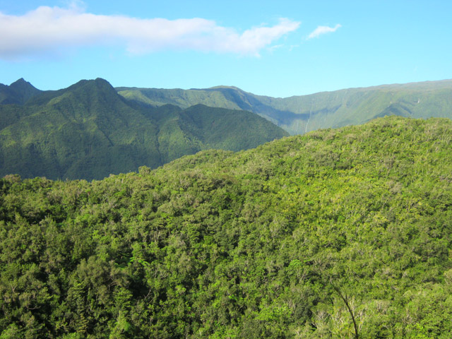 Vue sur le Grand Battoir et le Piton de la Rivière des Roches