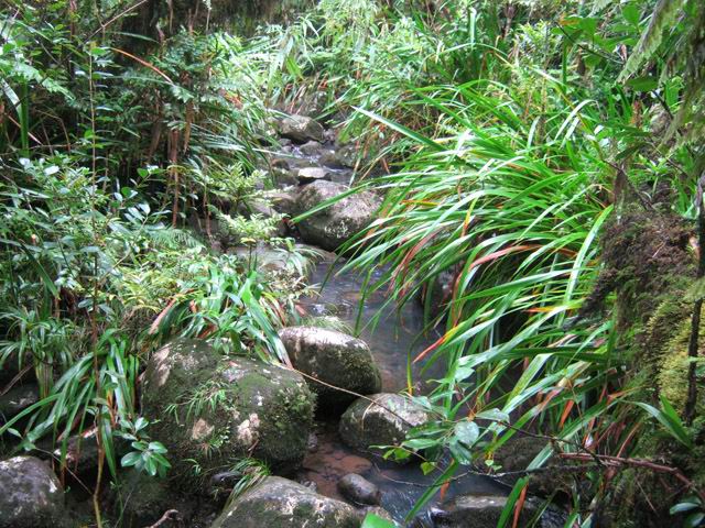 La traversée du Bras Pétard