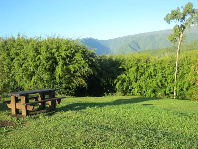 Une partie de l'aire de pique-nique de l'Eden