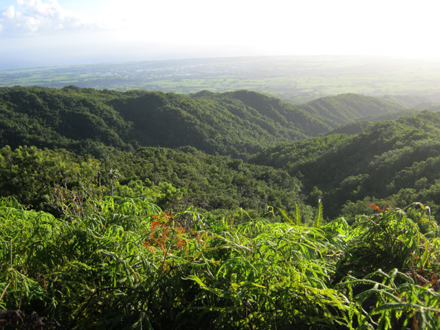 Vue sur la Vallée du Bras Sec