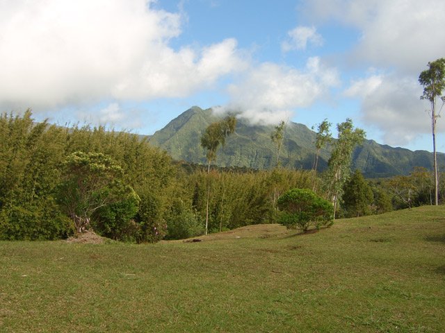 Vue sur le Morne des Lianes depuis l'aire de repos