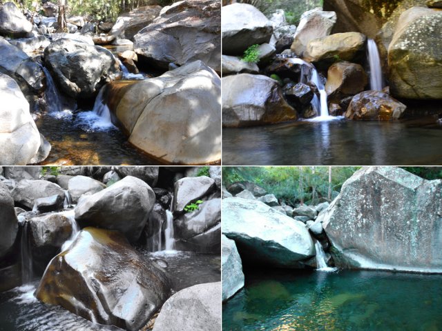 Remontée sportive mais agréable de la Ravine Fleurs Jaunes avant de faire demi-tour
