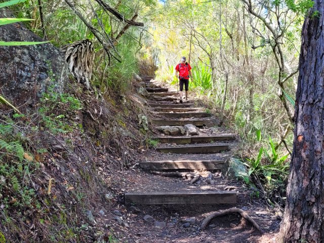 Une portion du GRR2 sur marches en bois
