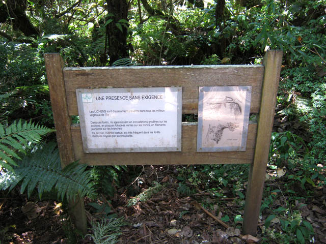 Exemple de panneaux explicatifs sur les plantes ou le milieu