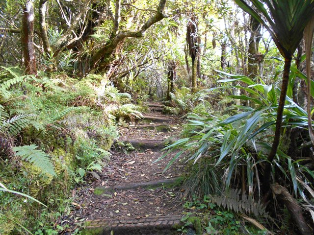 Le sentier est plat, excepté quelques tronçons avec marches