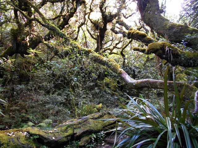 Quelques mètres seulement séparent du rempart vers Grand Coude