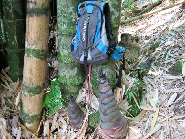 Le sac à dos donne la taille de certaines tiges de bambou