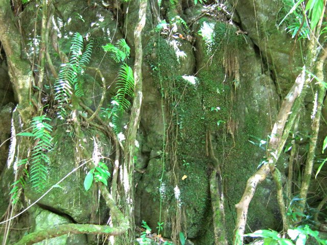 Quelques roches en bordure de sentier