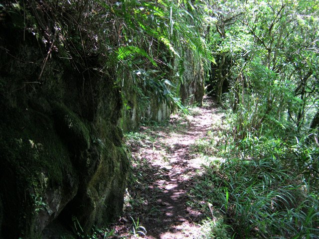 Encore quelques roches proches du sentier