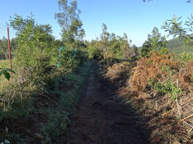 Le sentier de bord avant de plonger vers Grand Bassin