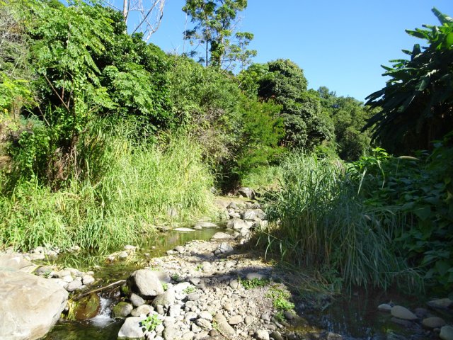 La remontée du Bras Long s'effectue le plus souvent sur les galets du ruisseau