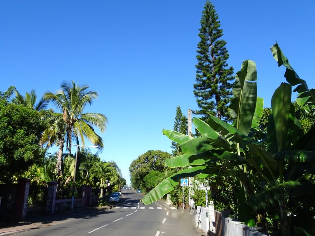 La rue verdoyante et fleurie du Bras Long