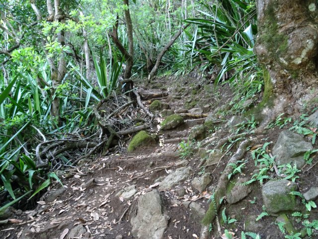 Le sentier Rosélie très caillouteux