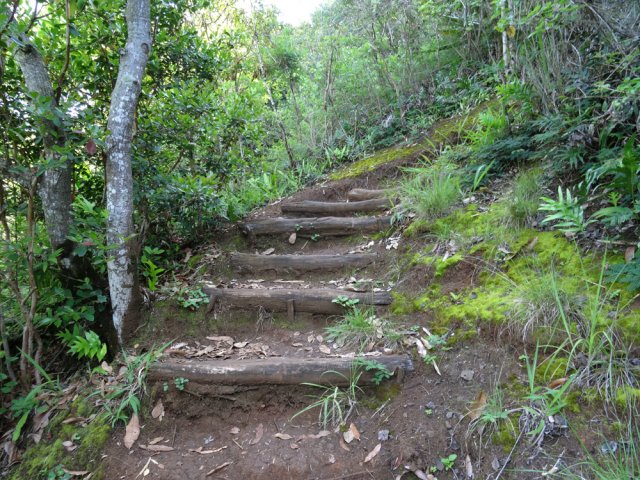 Le même sentier soutenu de marches avant le col