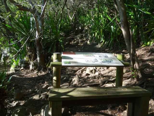 Un banc et son cours de dessin en sous-bois