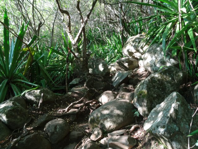 Le sentier du Coteau Sec, très caillouteux par endroits