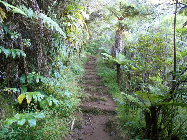 Sentier fréquenté en bon état s'il ne pleut pas