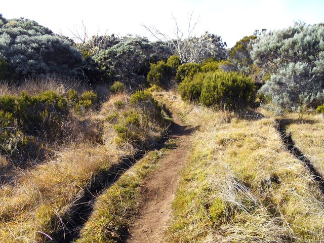 Pas de difficulté pour suivre le sentier