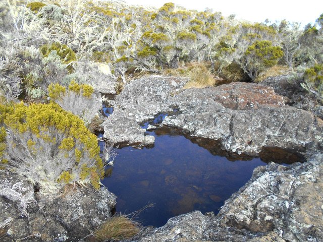 Quelques bassins retiennent l'eau de pluie