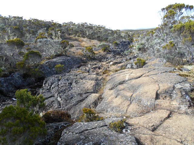 Un passage de ravine sans aucune difficulté