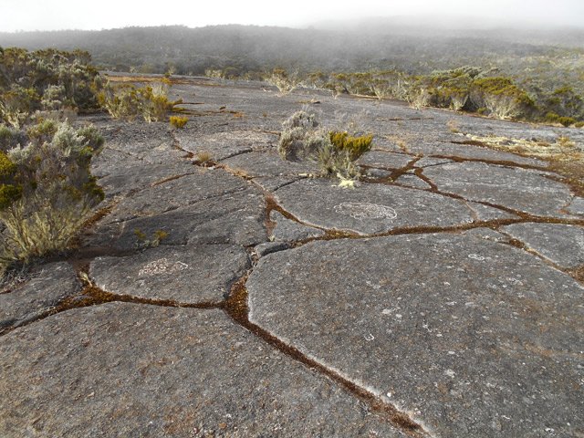 Le paysage classique de la fin de la montée au sommet