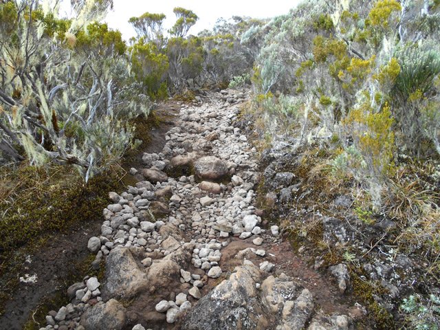 Certaines portions montent fortement sur des cailloux instables