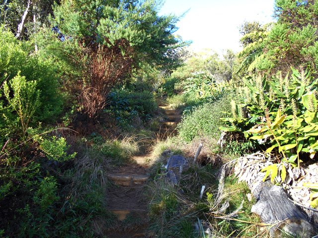 La pente est régulière et jamais très forte