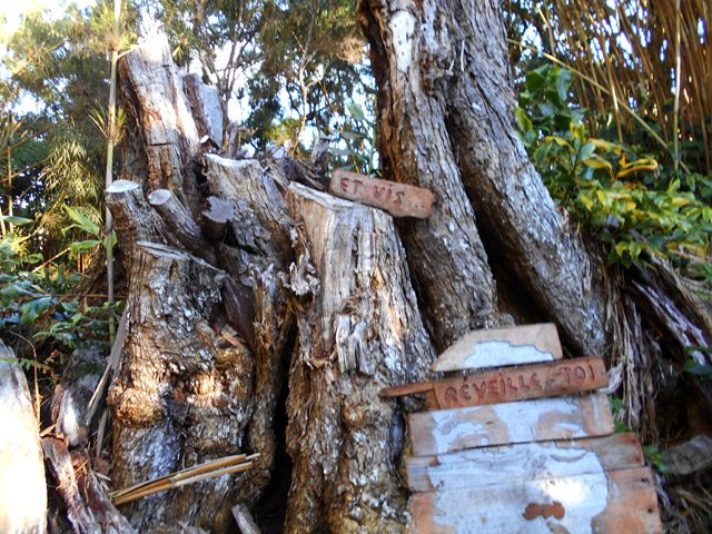 Le réveil sera plus difficile qu'on pense