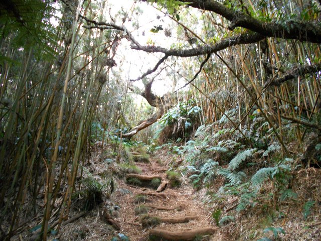 Les calumets deviennent de plus en plus nombreux