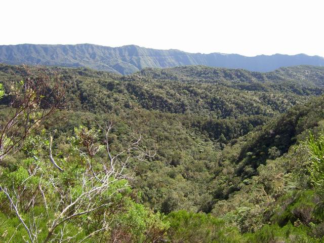 La Réserve de la Roche Ecrite. A l'horizon, le sentier de l'Ilet à Guillaume