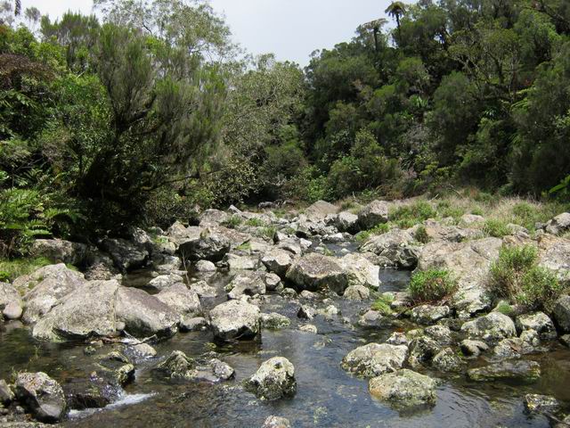 On longe sur une trentaine de mètres la Ravine Mazerin
