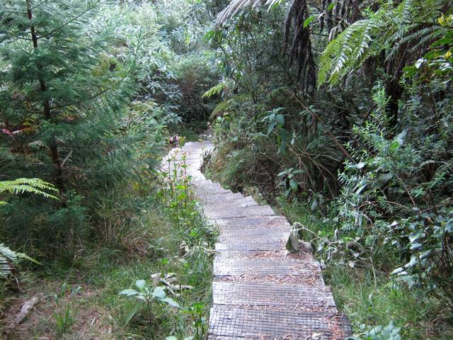 Le plancher du sentier de l'Ecole Normale, plus reposant
