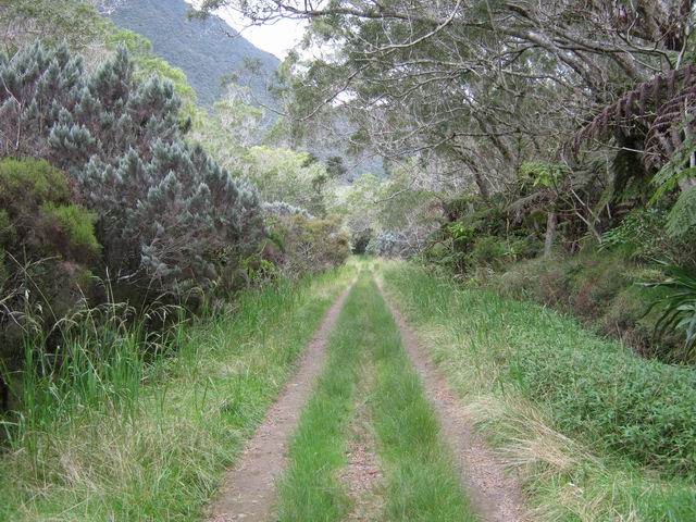 La piste entre deux portions de sentier de l'Ecole Normale