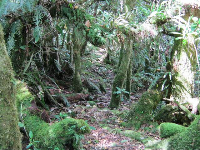 Sentier étroit et pas toujours facile à discerner