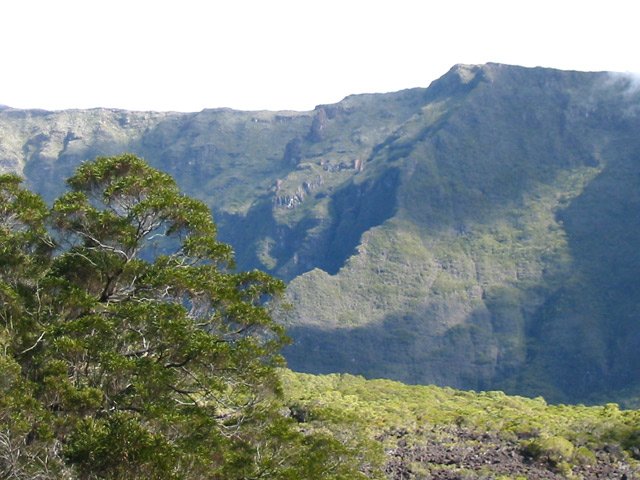 Dernier grand point de vue avant d'arriver dans la forêt