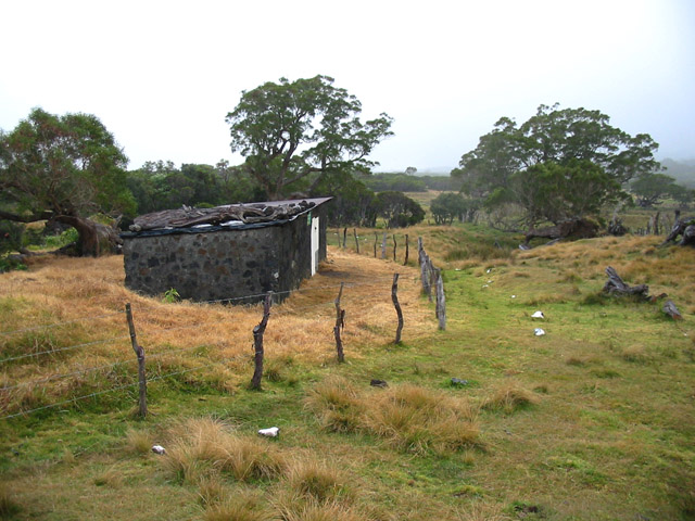 Les pâturages et l'étable de la Savane Cimetière