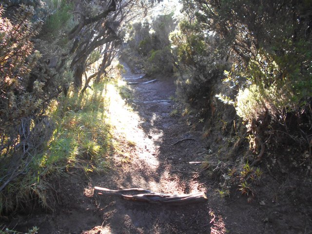 Descente vers le Nez Coupé de Sainte-Rose