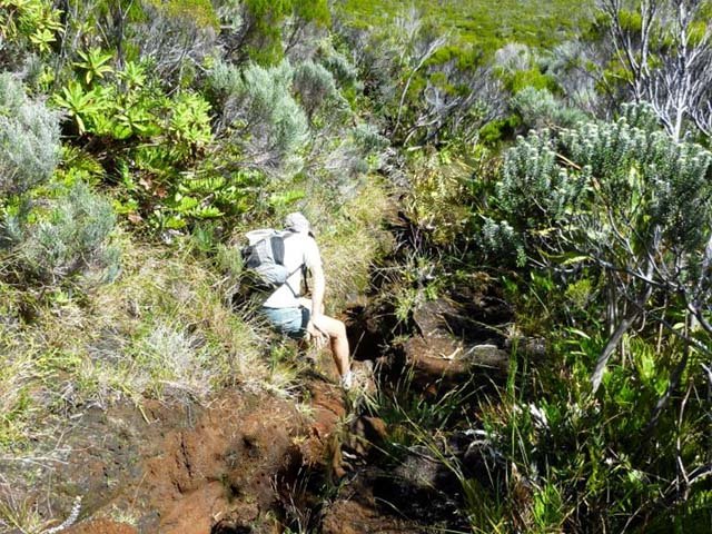 Le sentier de descente est de plus en plus difficile et réservé aux habitués