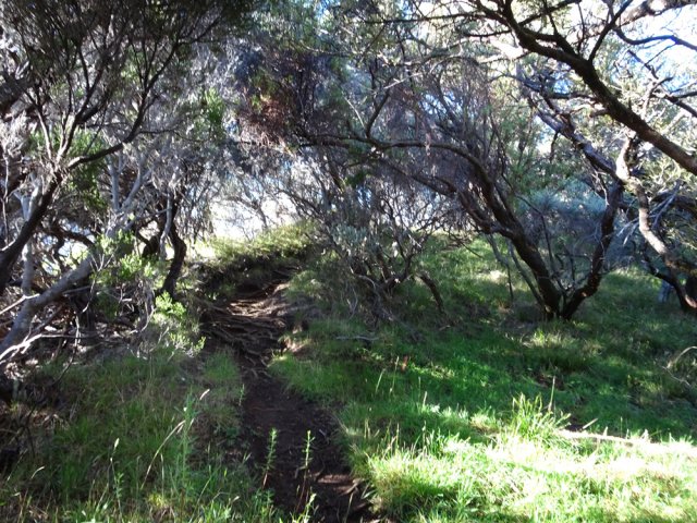 Sentier agréable tout au long du parcours