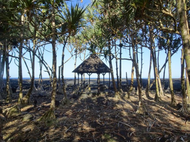 Quitter la vaste aire de pique-nique ombragée