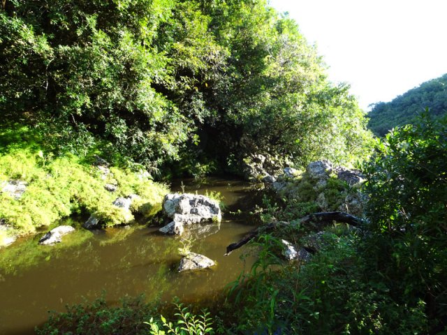 Le haut de la petite cascade du Bassin Racine