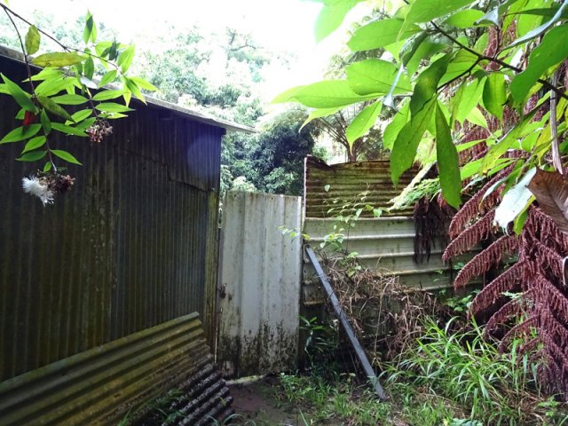 La case dans la descente accueille avec ses caquètements