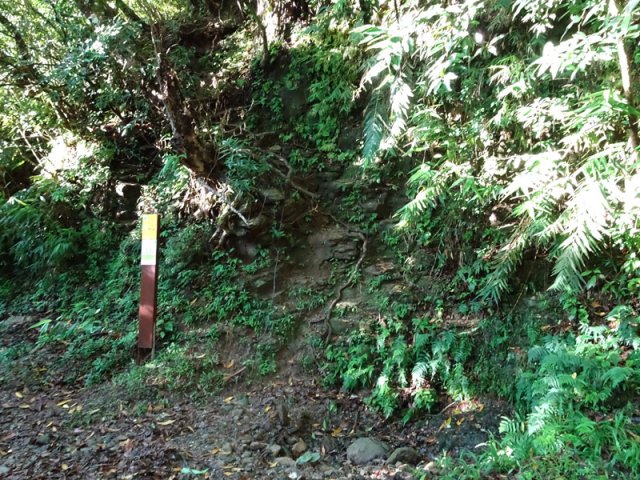 Repérer au passage le sentier qui monte qu'on empruntera plus tard