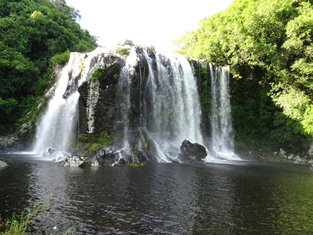 La cascade du Bassin Nicole est un des plus belles de la Réunion