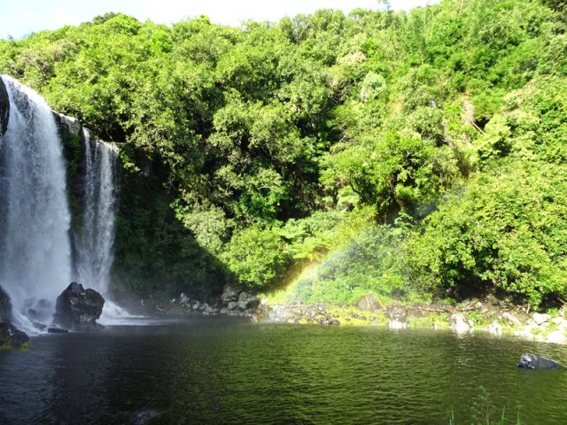 L'eau parait sombre mais les baigneurs aiment y faire trempette