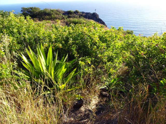 Le sentier est très étroit mais se suit facilement