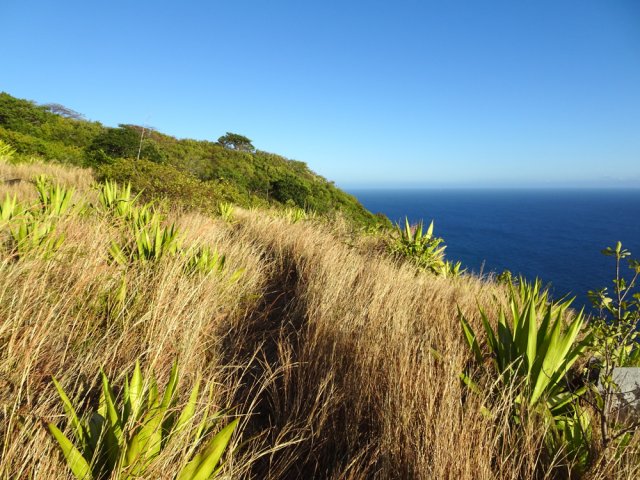 La trace va bientôt se perdre dans la nature