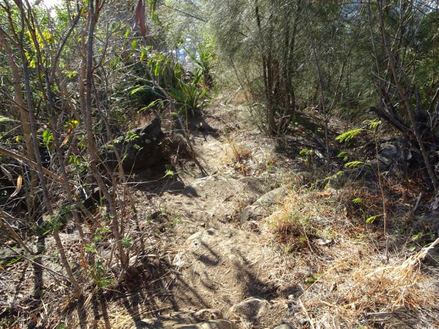 Le sentier menant au spot d'escalade
