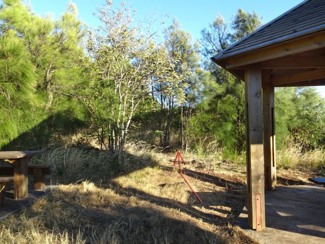 Partir entre le kiosque et la table