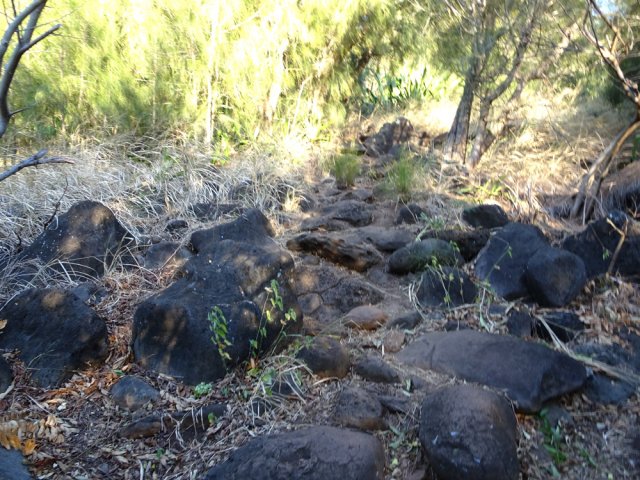 Certaines portions sont très empierrées